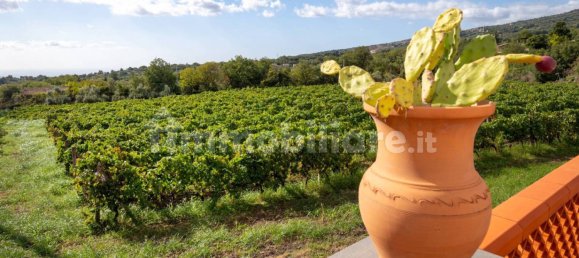 10 bedrooms House in Linguaglossa, Italy No. 163934 2