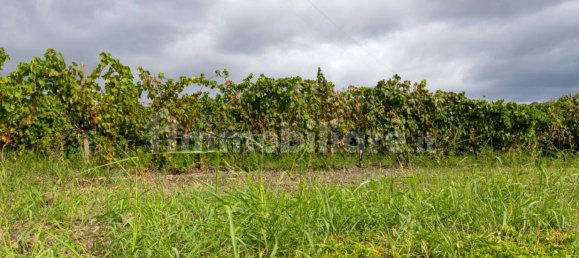 10 bedrooms House in Linguaglossa, Italy No. 163934 11