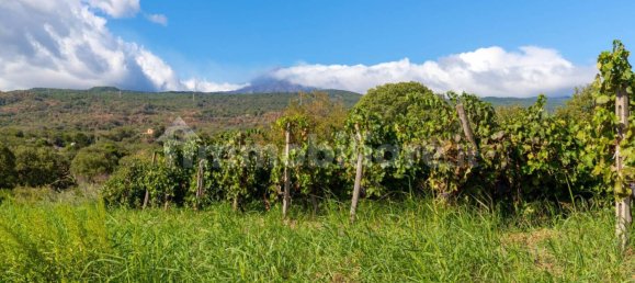 10 bedrooms House in Linguaglossa, Italy No. 163934 48