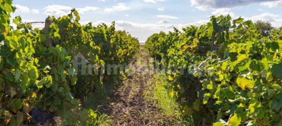 10 bedrooms House in Linguaglossa, Italy No. 163934 37