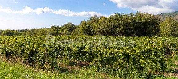 10 bedrooms House in Linguaglossa, Italy No. 163934 50