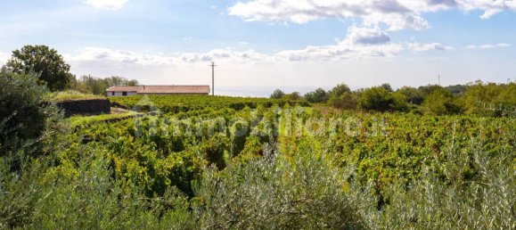 10 bedrooms House in Linguaglossa, Italy No. 163934 49