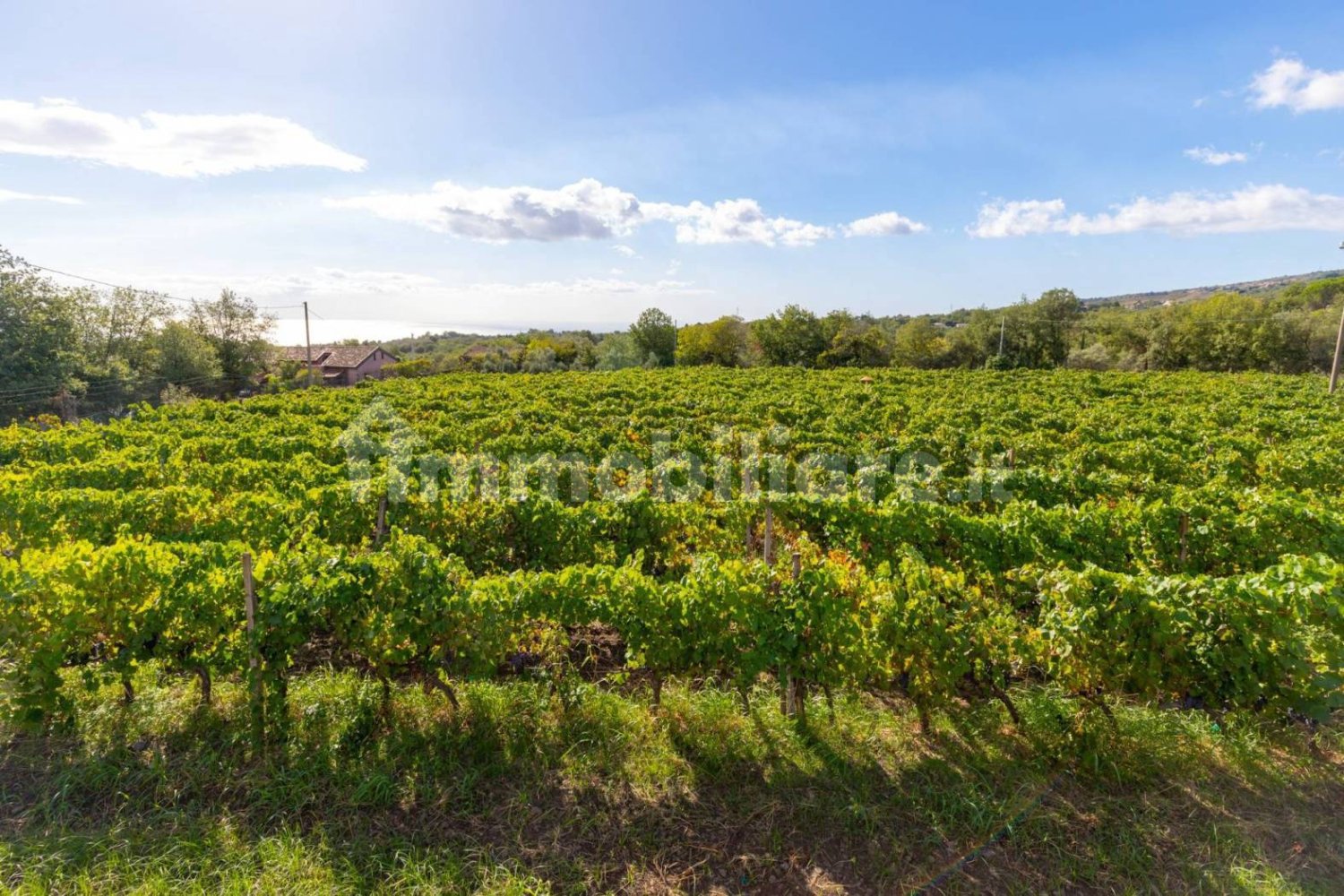 10 bedrooms House in Linguaglossa, Italy No. 163934