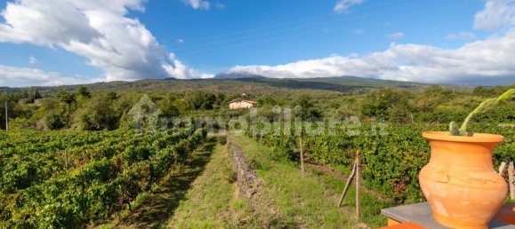 10 bedrooms House in Linguaglossa, Italy No. 163934 7