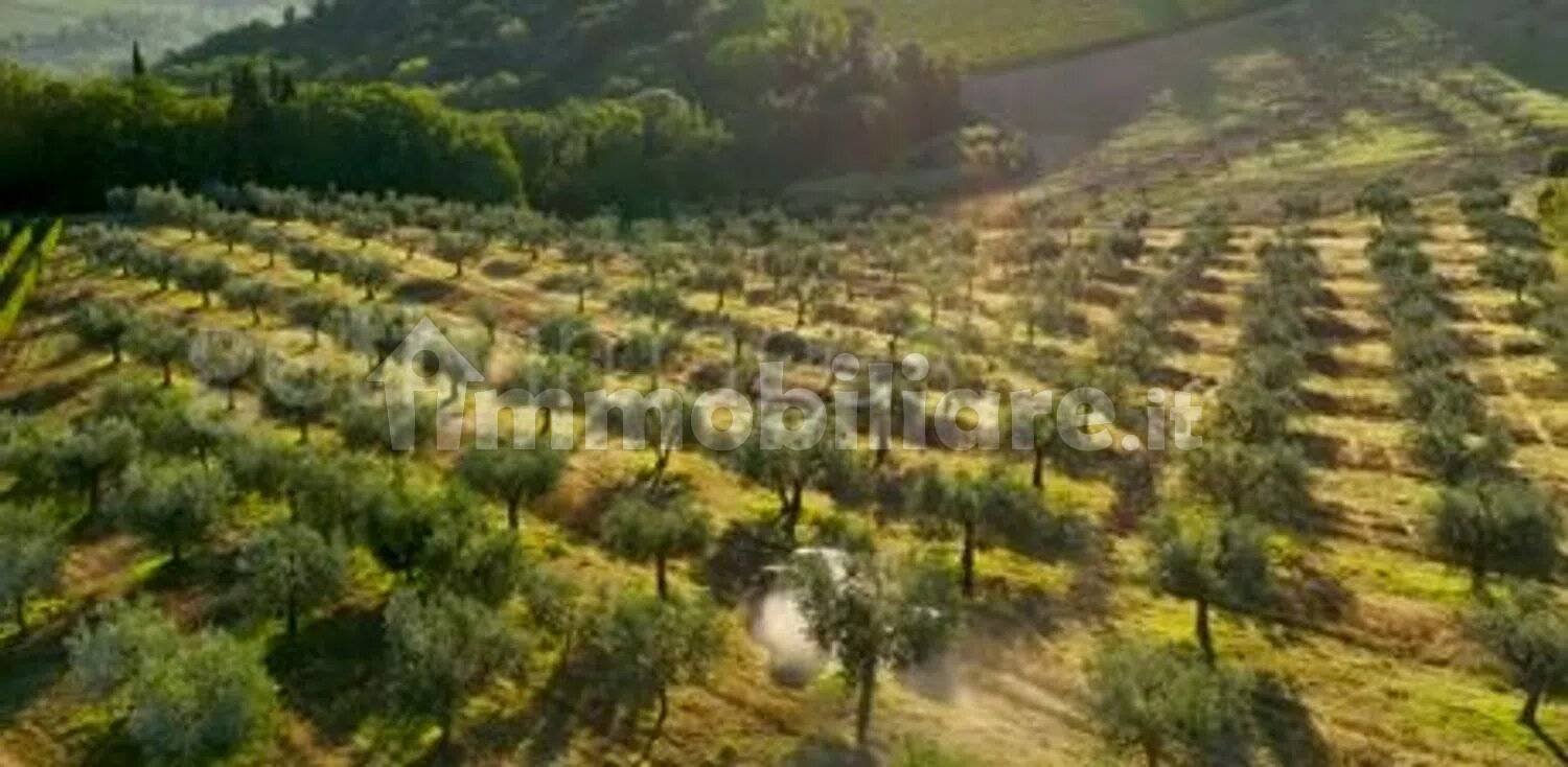 Terreno en Provaglio d'Iseo, Italy 3640 m² No. 264716