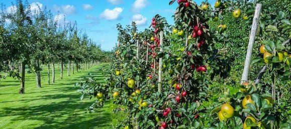 Terreno en Provaglio d'Iseo, Italy 3640 m² No. 264716 2