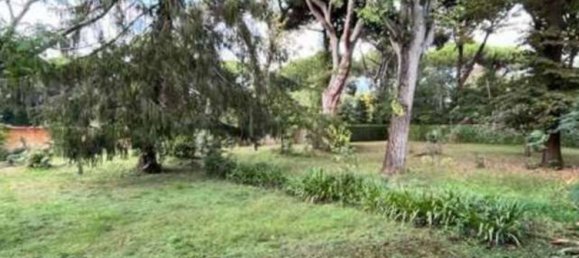 24 rooms Villa in Pietrasanta, Italy No. 197079 12