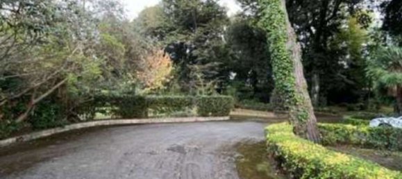 24 rooms Villa in Pietrasanta, Italy No. 197079 14