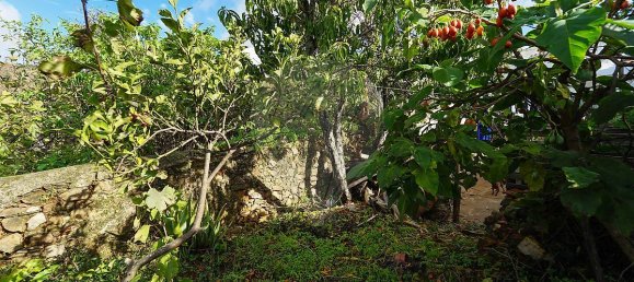 2 bedrooms House in Marmelete, Portugal No. 178275 23