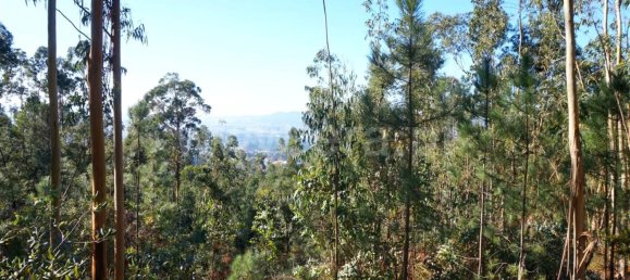 Land in Barcelos, Portugal No. 190496 2