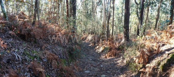 Land in Barcelos, Portugal No. 190496 11