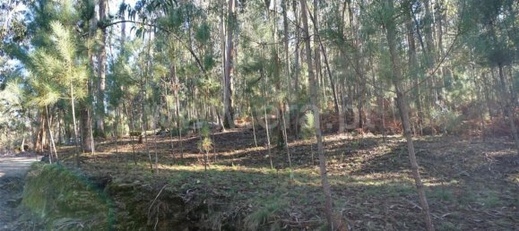 Land in Barcelos, Portugal No. 190496 8