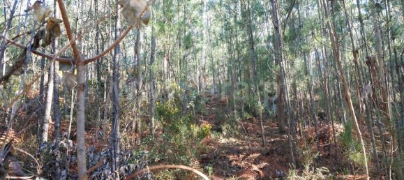 Land in Barcelos, Portugal No. 190496 3