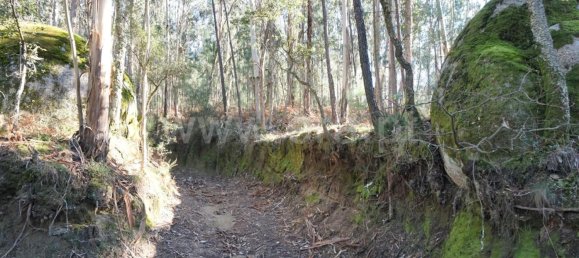 Land in Barcelos, Portugal No. 190496 12