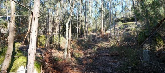 Land in Barcelos, Portugal No. 190496 10