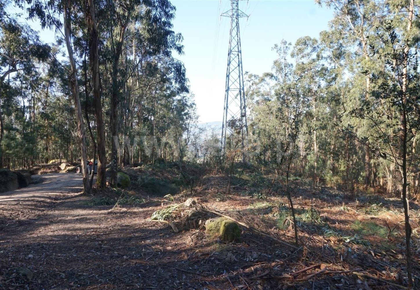  Land in Barcelos, Portugal No. 190496