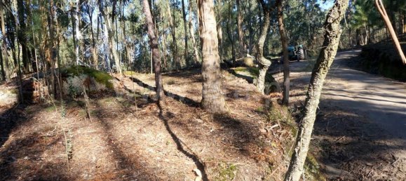 Land in Barcelos, Portugal No. 190496 7