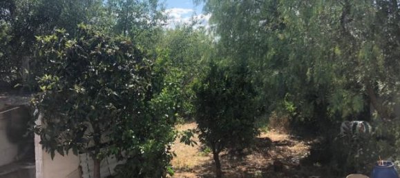 5-Zimmer Villa in Monopoli, Italy, Nr. 252650 6