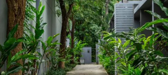 2 Schlafzimmer Villa in Phuket, Thailand, Nr. 80289 6