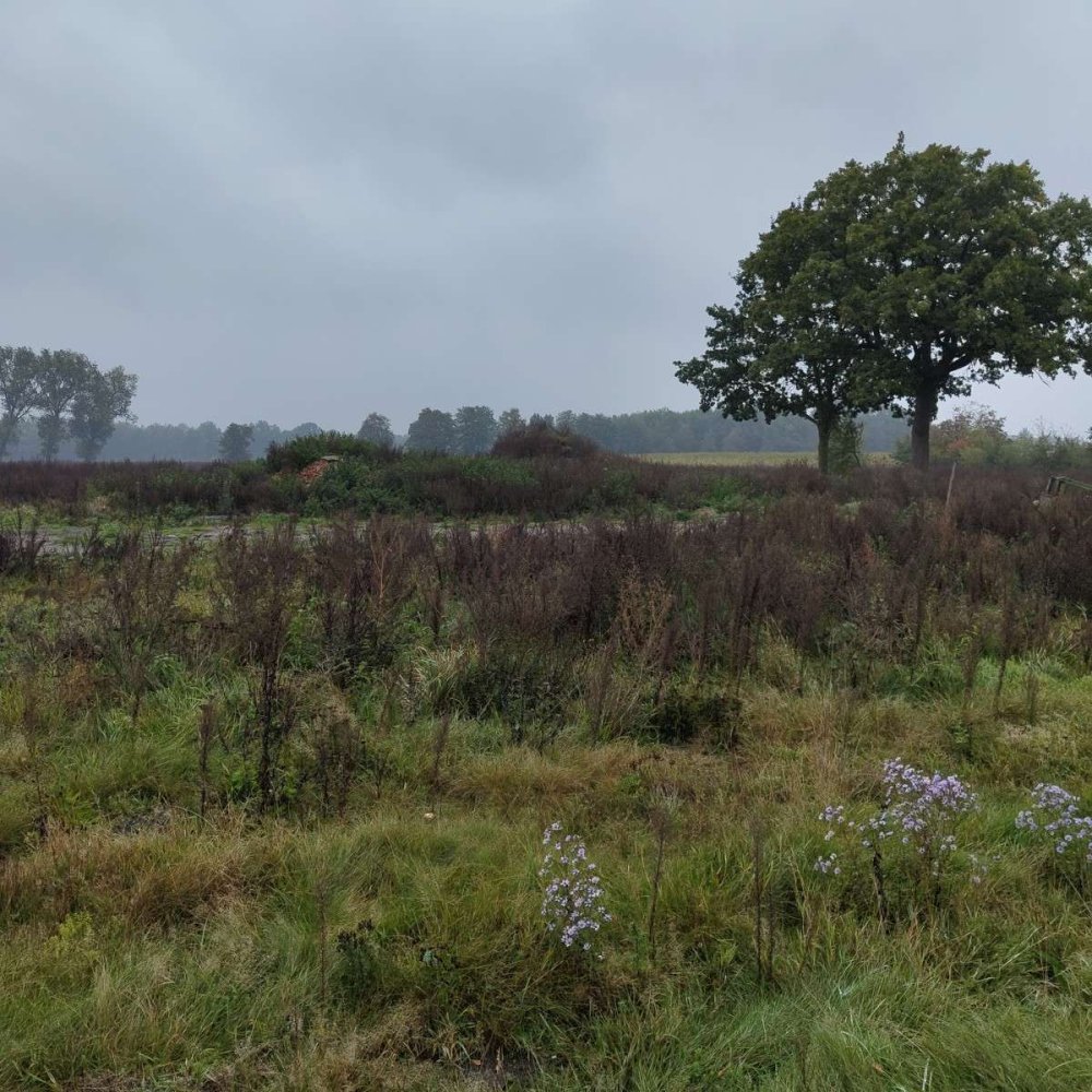 Земельный участок в Харбург, Германия № 174308