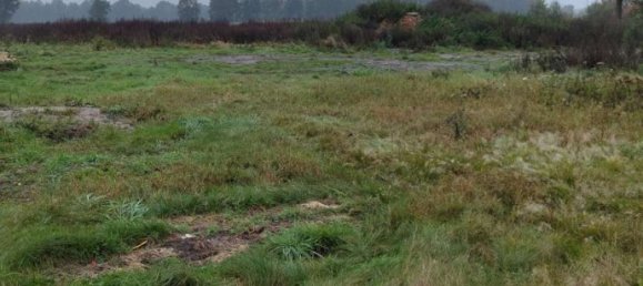 Земельный участок в Харбург, Германия № 174308 6