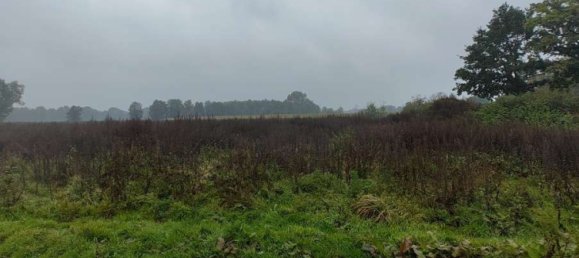 Земельный участок в Харбург, Германия № 174308 3