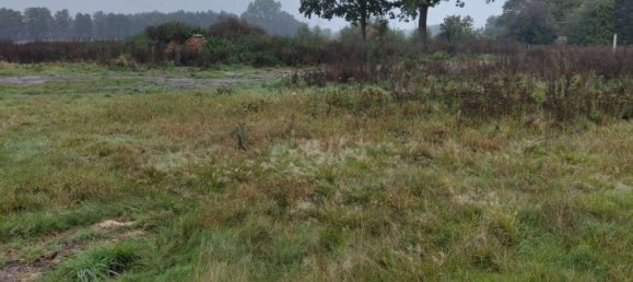 Земельный участок в Харбург, Германия № 174308 4