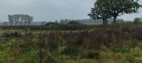 Земельный участок в Харбург, Германия № 174308 5