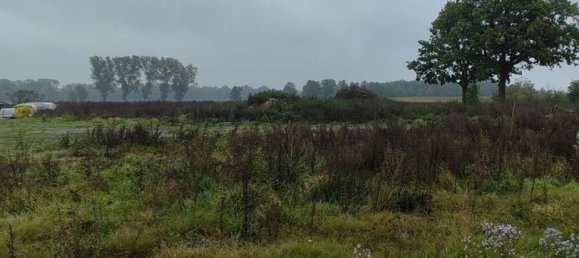 Земельный участок в Харбург, Германия № 174308 2