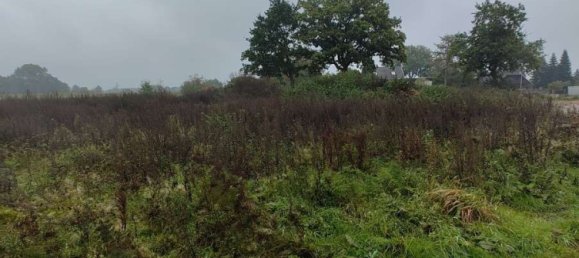 Земельный участок в Харбург, Германия № 174308 9