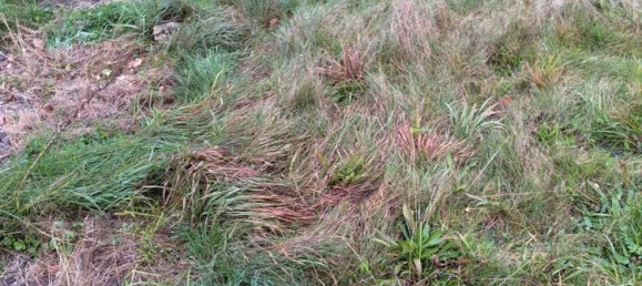 Земельный участок в Харбург, Германия № 174308 11