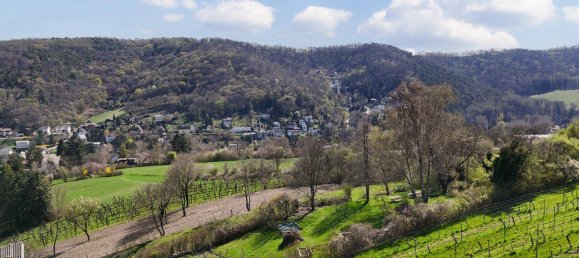 قطعة أرض في Klosterneuburg, Austria رقم 258849 3