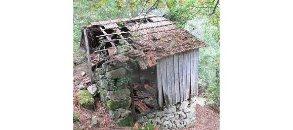 10 bedrooms House in Cinfaes, Portugal No. 268139 11