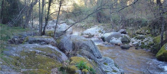 10 bedrooms House in Cinfaes, Portugal No. 268139 6