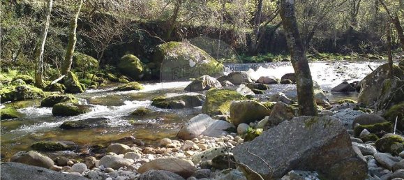 10 bedrooms House in Cinfaes, Portugal No. 268139 4