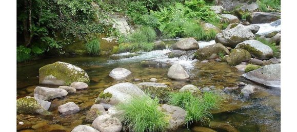 10 bedrooms House in Cinfaes, Portugal No. 268139 7