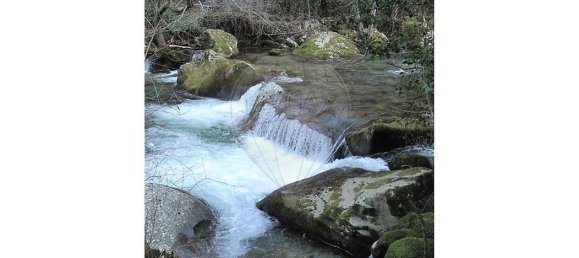 10 bedrooms House in Cinfaes, Portugal No. 268139 8