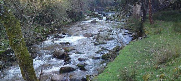 10 bedrooms House in Cinfaes, Portugal No. 268139 5