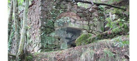 10 bedrooms House in Cinfaes, Portugal No. 268139 9