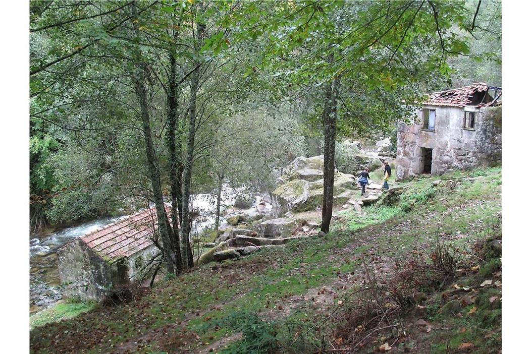 10 bedrooms House in Cinfaes, Portugal No. 268139