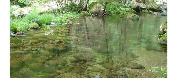 10 bedrooms House in Cinfaes, Portugal No. 268139 2