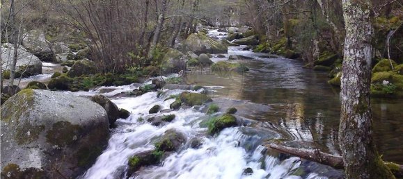 10 bedrooms House in Cinfaes, Portugal No. 268139 3