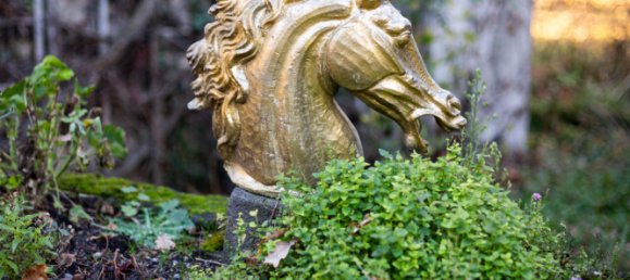  Castillos de 9 dormitorios en Riom, France No. 43258 8