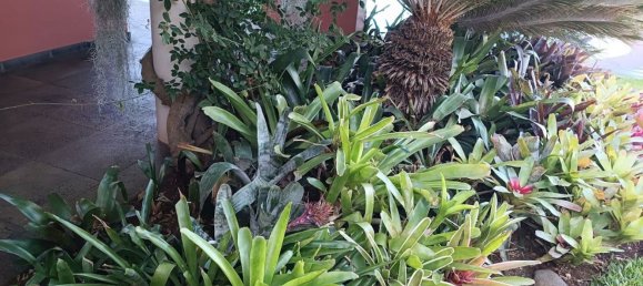 Casa de 4 dormitorios en Funchal, Portugal No. 146485 41