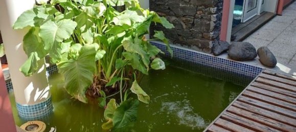 Casa de 4 dormitorios en Funchal, Portugal No. 146485 15