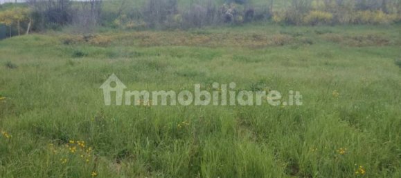 3 bedrooms House in Offida, Italy No. 263553 12