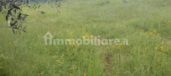 3 bedrooms House in Offida, Italy No. 263553 11