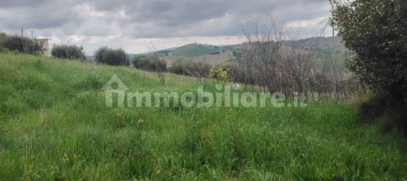 3 bedrooms House in Offida, Italy No. 263553 9