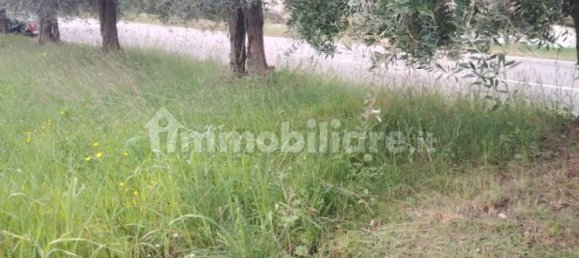 3 bedrooms House in Offida, Italy No. 263553 4