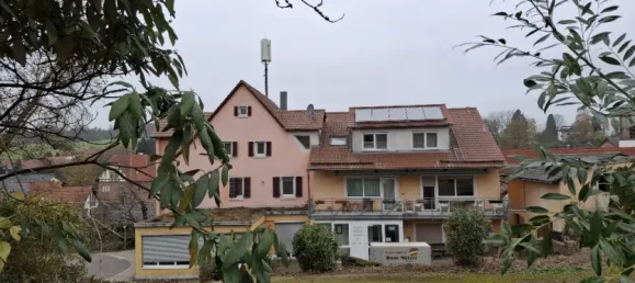 11 chambres Maison à Rhein-Neckar-Kreis, Germany No. 65721 20